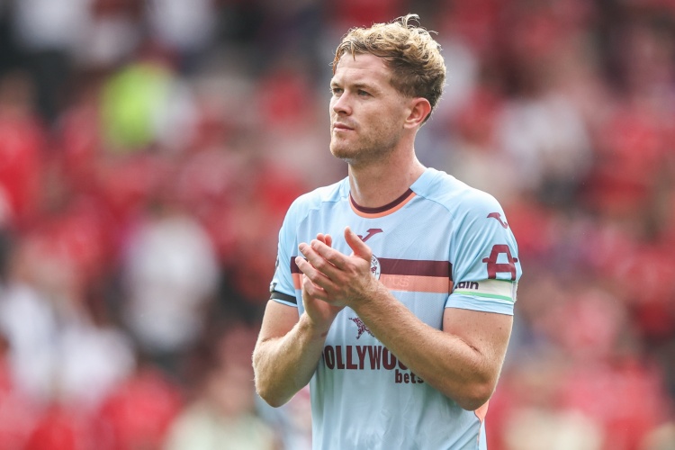 img, 蜜蜂中卫科, amp